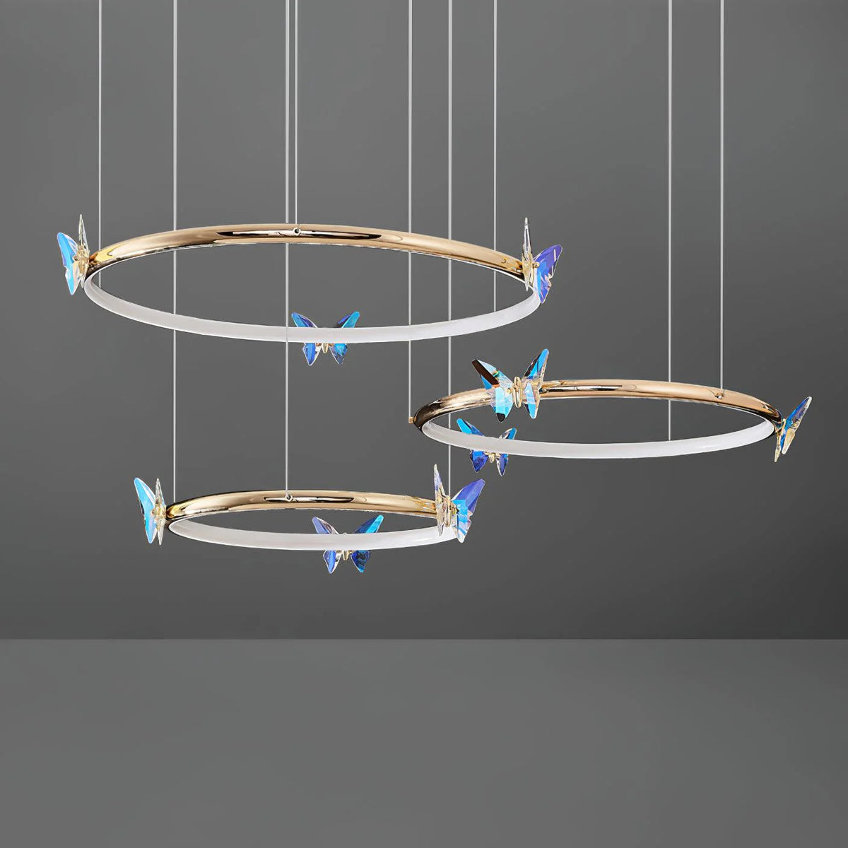 Butterfly Elliptic ring Chandelier 16
