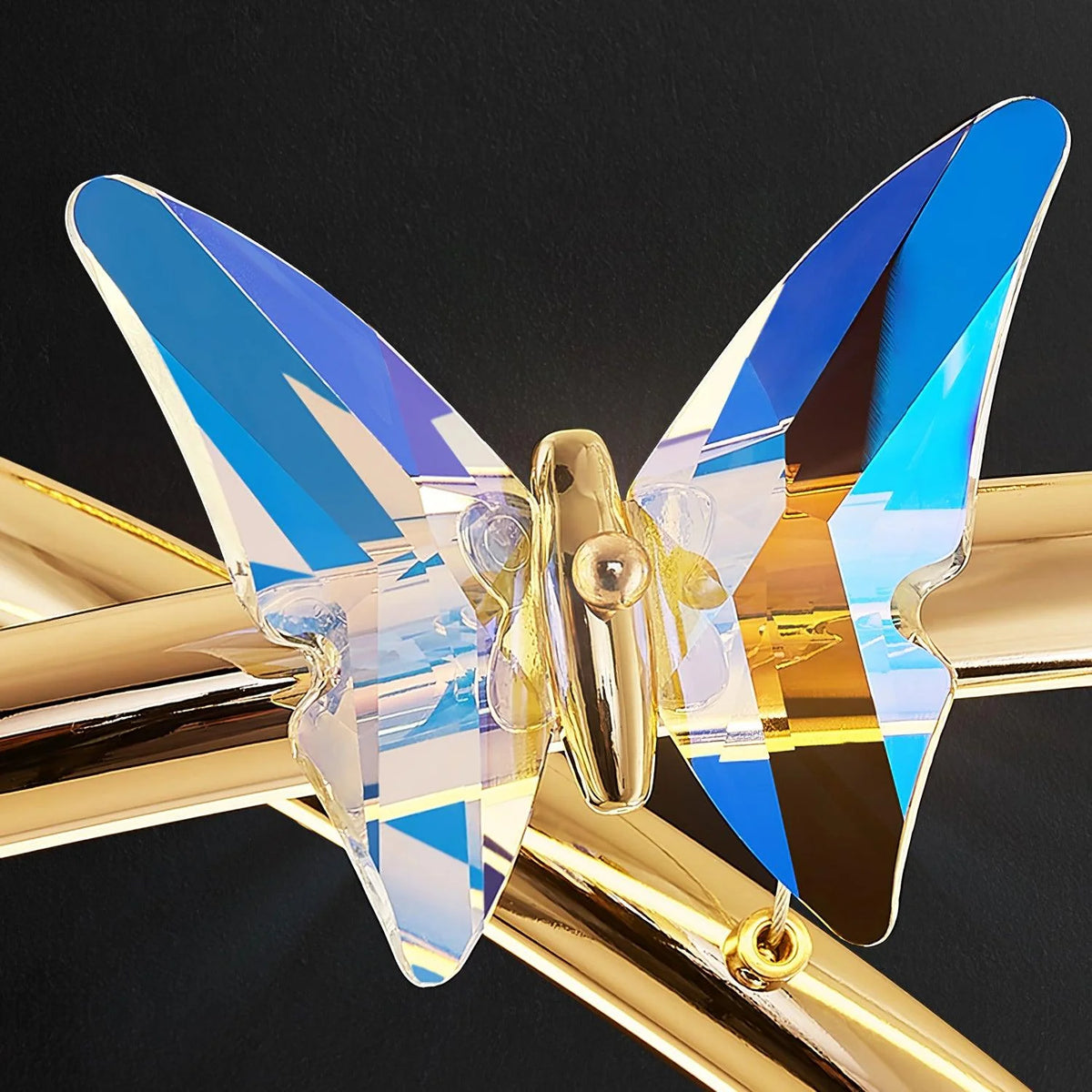 Butterfly Elliptic ring Chandelier 17