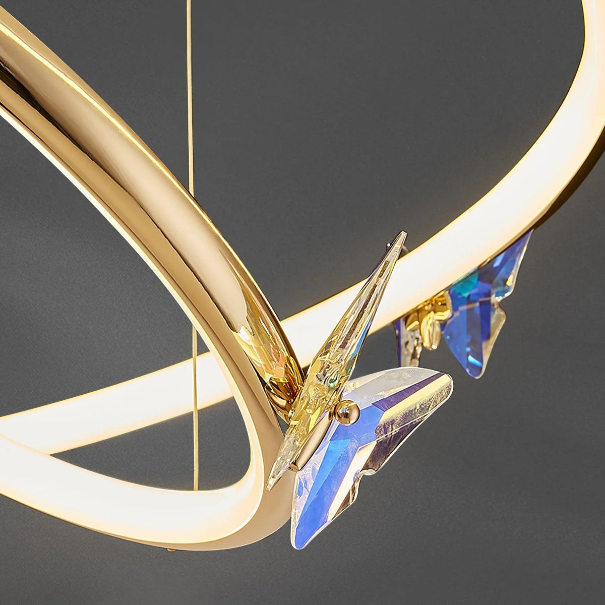 Butterfly Elliptic ring Chandelier 6