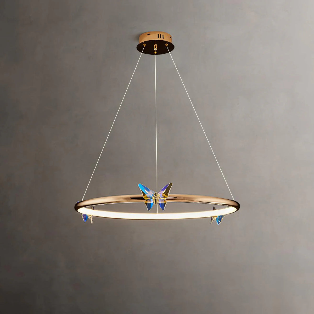 Butterfly Elliptic ring Chandelier 9