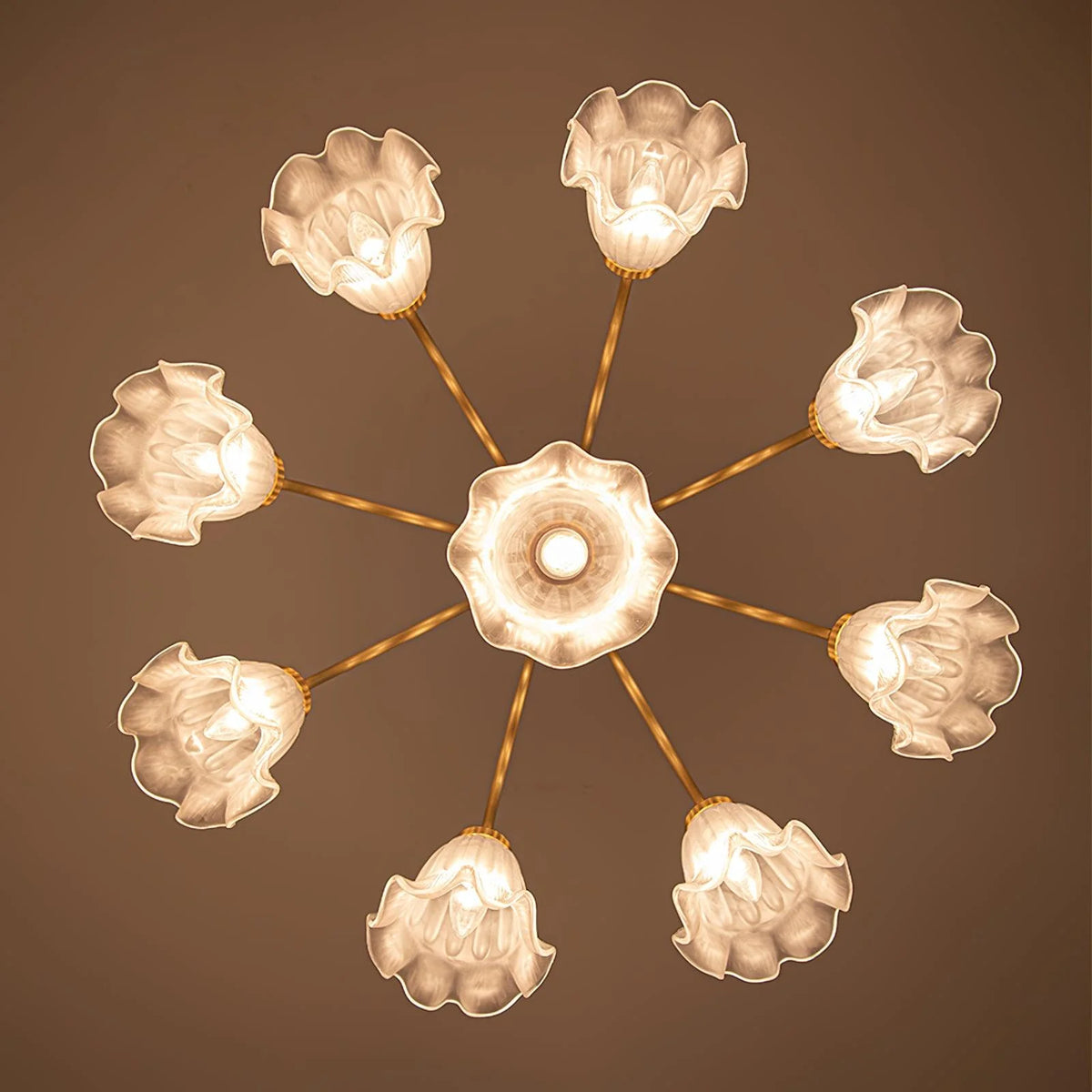 Lily_Chandelier_6
