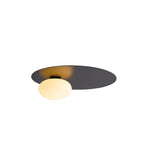 The front view of the black Simple Oval Ceiling Light with white background