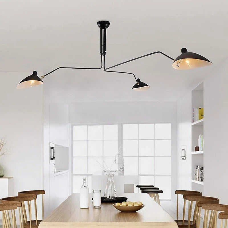 sege moullie ceiling above the wooden dining table