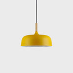 Acorn_Pendant_Light_16