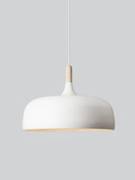 Acorn_Pendant_Light_2