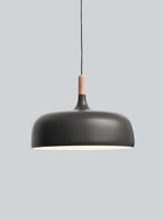 Acorn_Pendant_Light_23