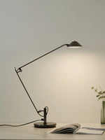 Adjustable_Office_Task_Lamp_17