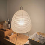 Akari 1A Table Lamp 7