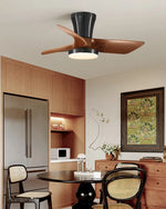Alyta_Ceiling_Fan_Lamp_12