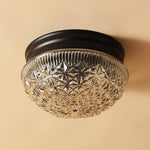 American_Style_Glass_Ceiling_Light_5