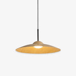 Arcadian_LED_Pendant_Light_13