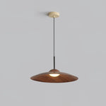 Arcadian_LED_Pendant_Light_15