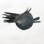 Art_Fish_Lantern_Chandelier_19