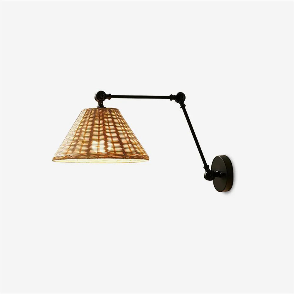 Barnes_Swing_Arm_Wall_Lamp_1