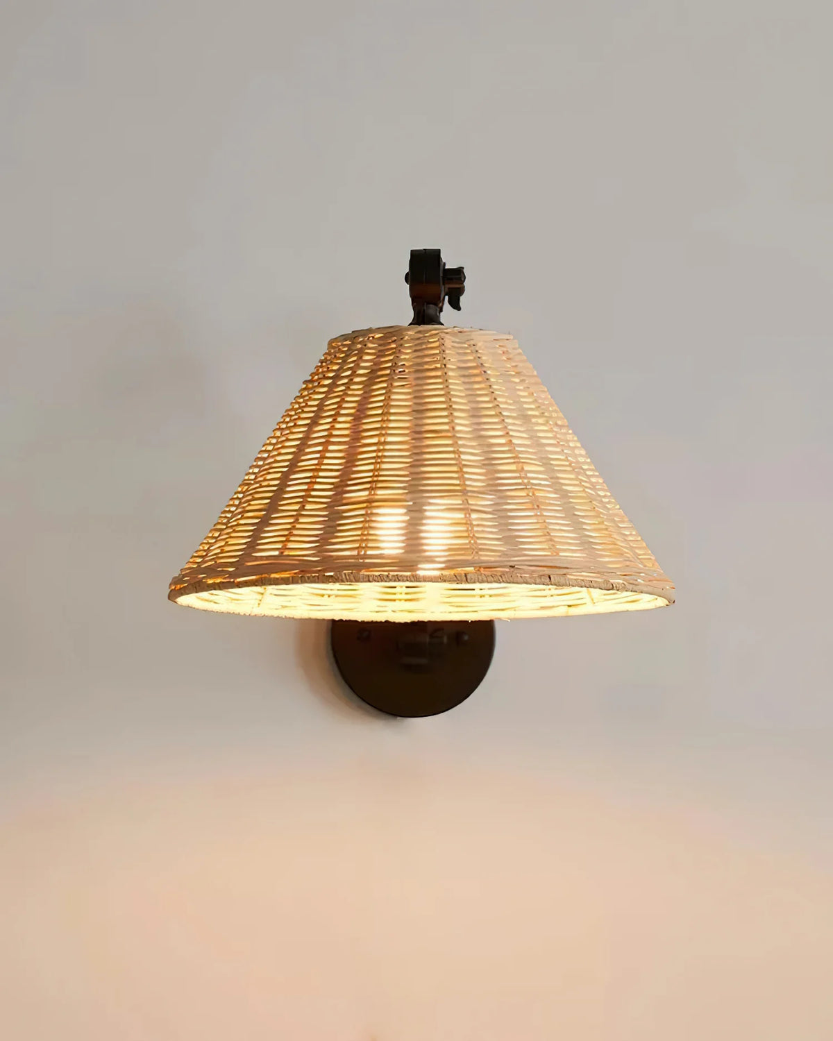 Barnes_Swing_Arm_Wall_Lamp_5