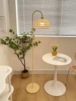 Beige Rattan Floor Lamp 68