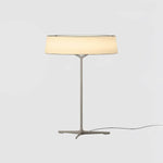 Branch Desk Lamp 13