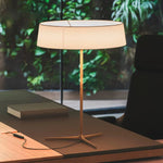 Branch Desk Lamp 20