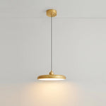 Brass_Disc_Pendant_Light_10