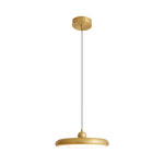 Brass_Disc_Pendant_Light_12