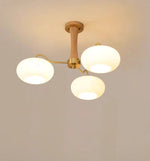 Brass_Wooden_Persimmon_Chandelier__37