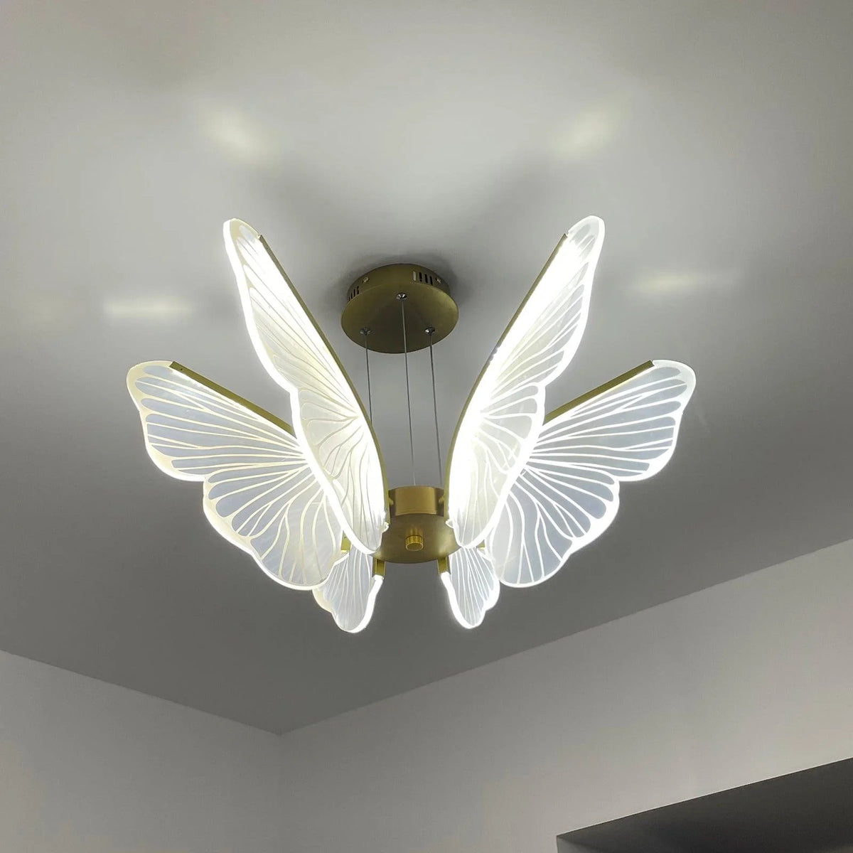 Butterfly_Chandelier_17