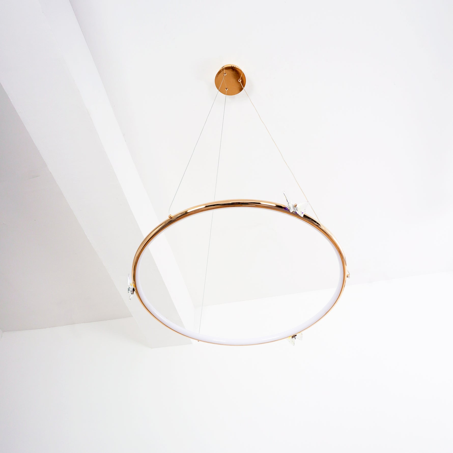 Butterfly_Elliptic_Ring_Chandelier_30