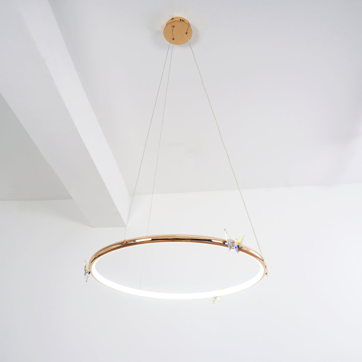 Butterfly_Elliptic_Ring_Chandelier_31