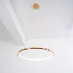 Butterfly_Elliptic_Ring_Chandelier_31