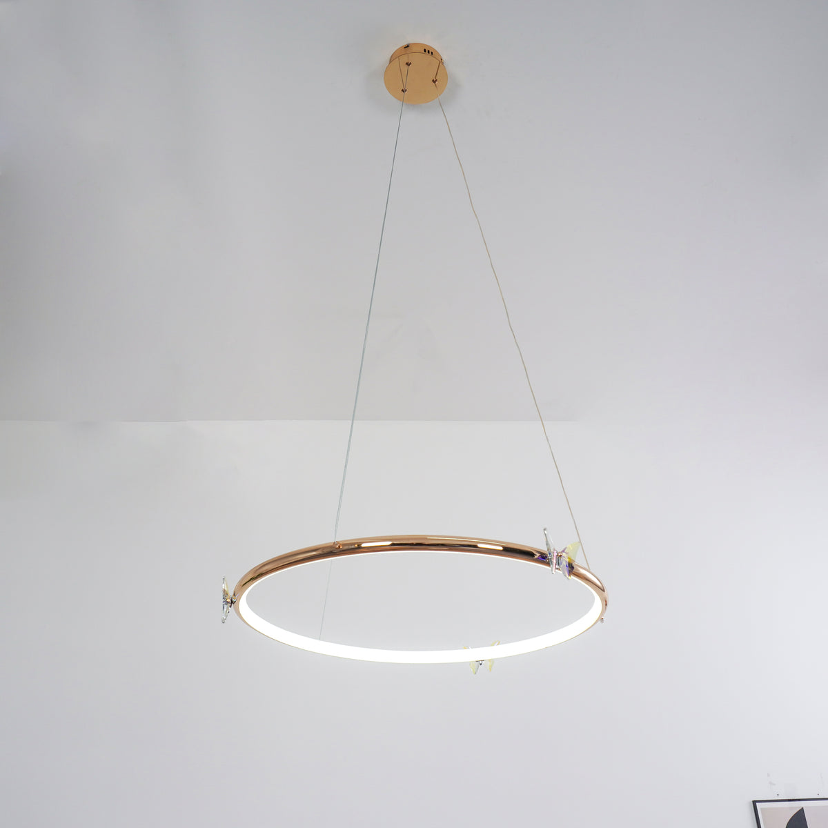 Butterfly_Elliptic_Ring_Chandelier_32