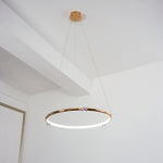 Butterfly_Elliptic_Ring_Chandelier_33