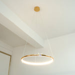 Butterfly_Elliptic_Ring_Chandelier_36