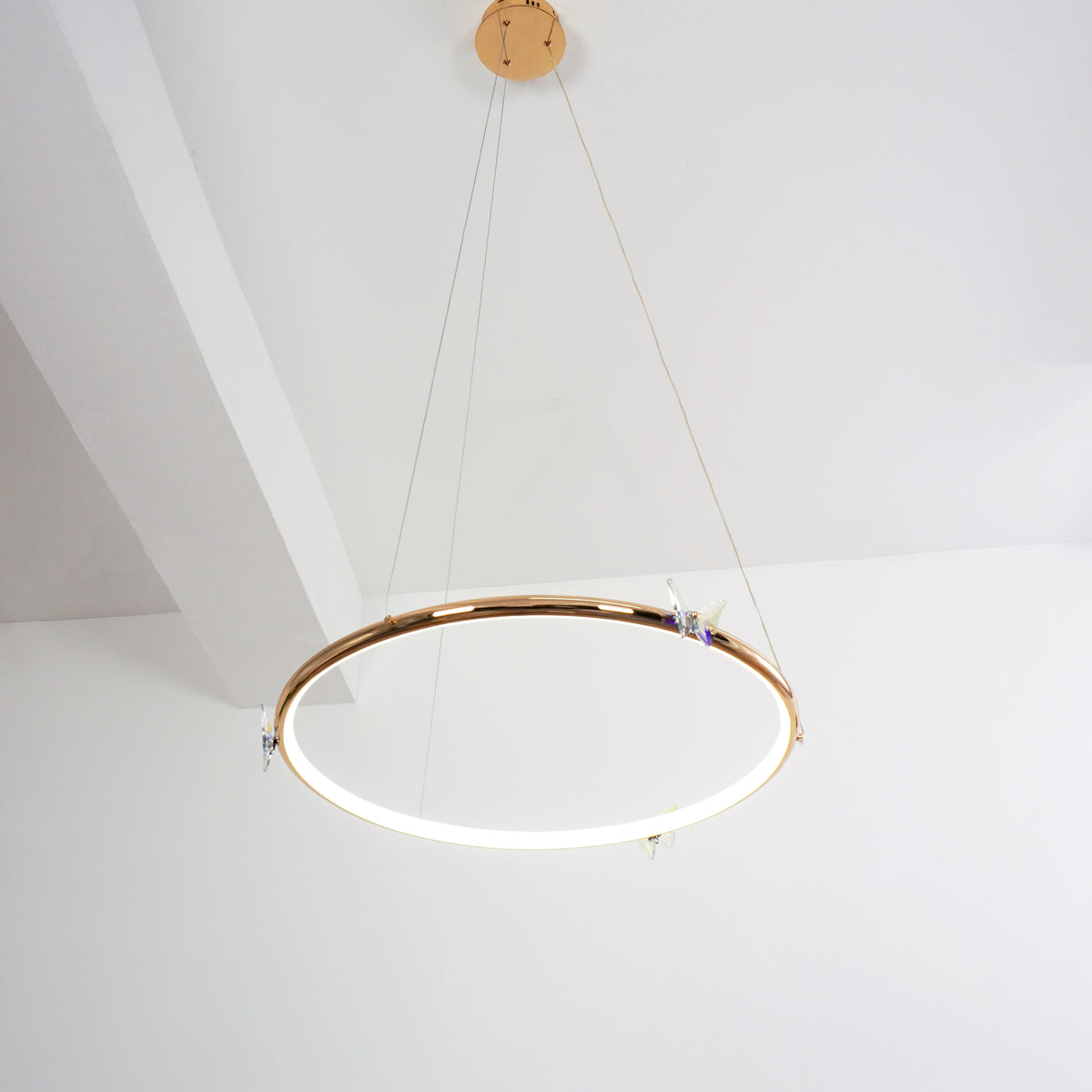 Butterfly_Elliptic_Ring_Chandelier_38