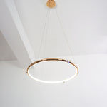 Butterfly_Elliptic_Ring_Chandelier_38