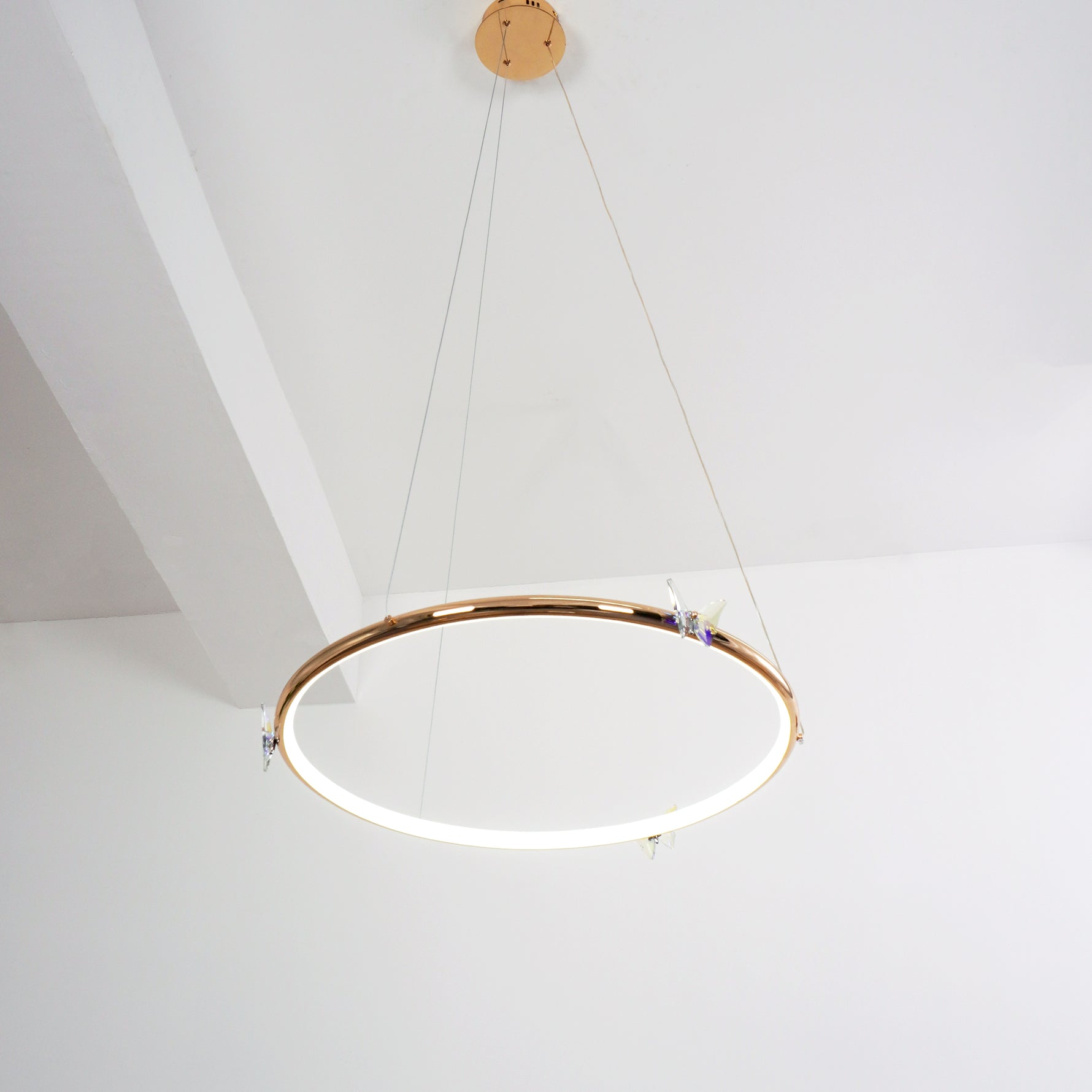 Butterfly_Elliptic_Ring_Chandelier_38