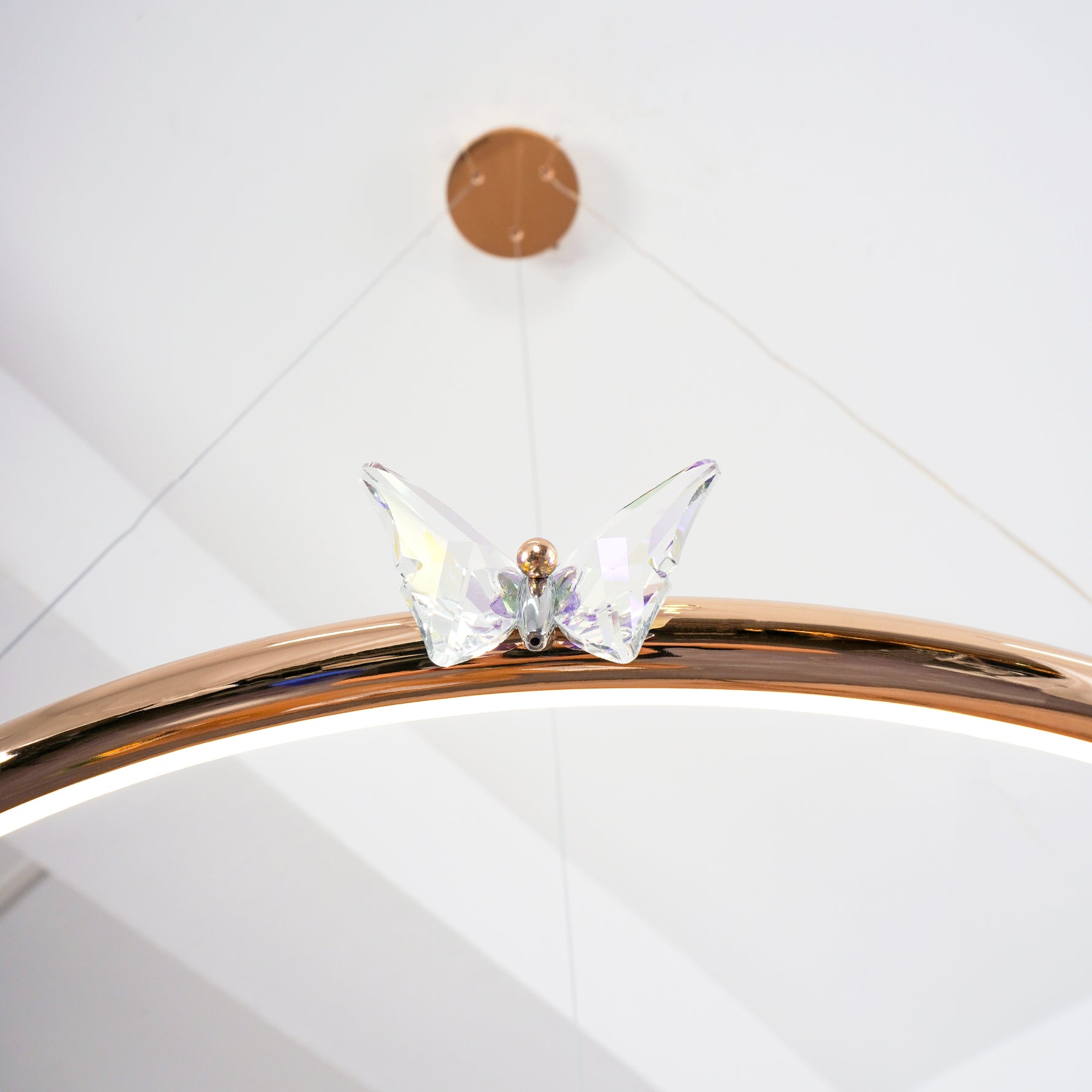 Butterfly_Elliptic_Ring_Chandelier_45