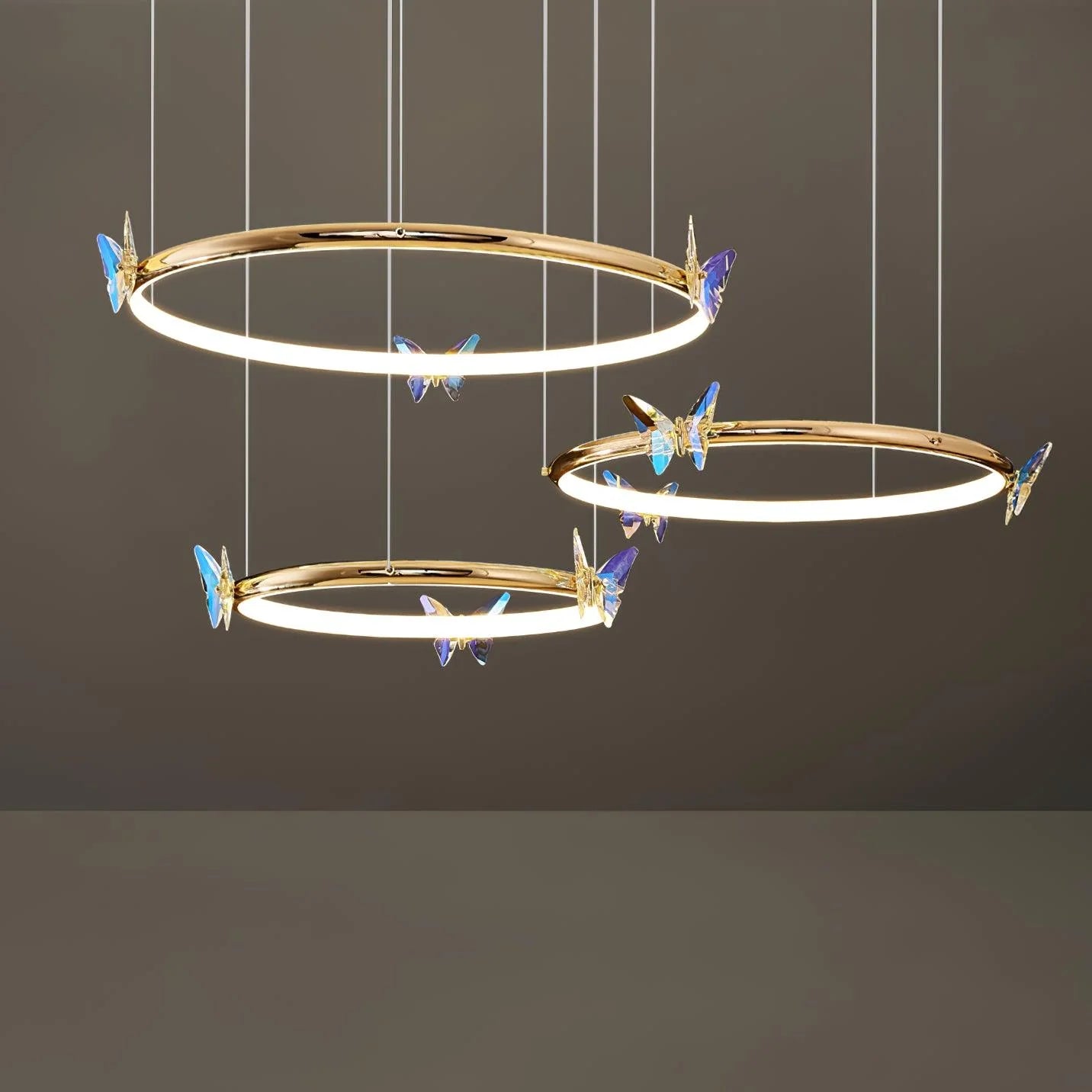  Butterfly Elliptic ring Chandelier 14