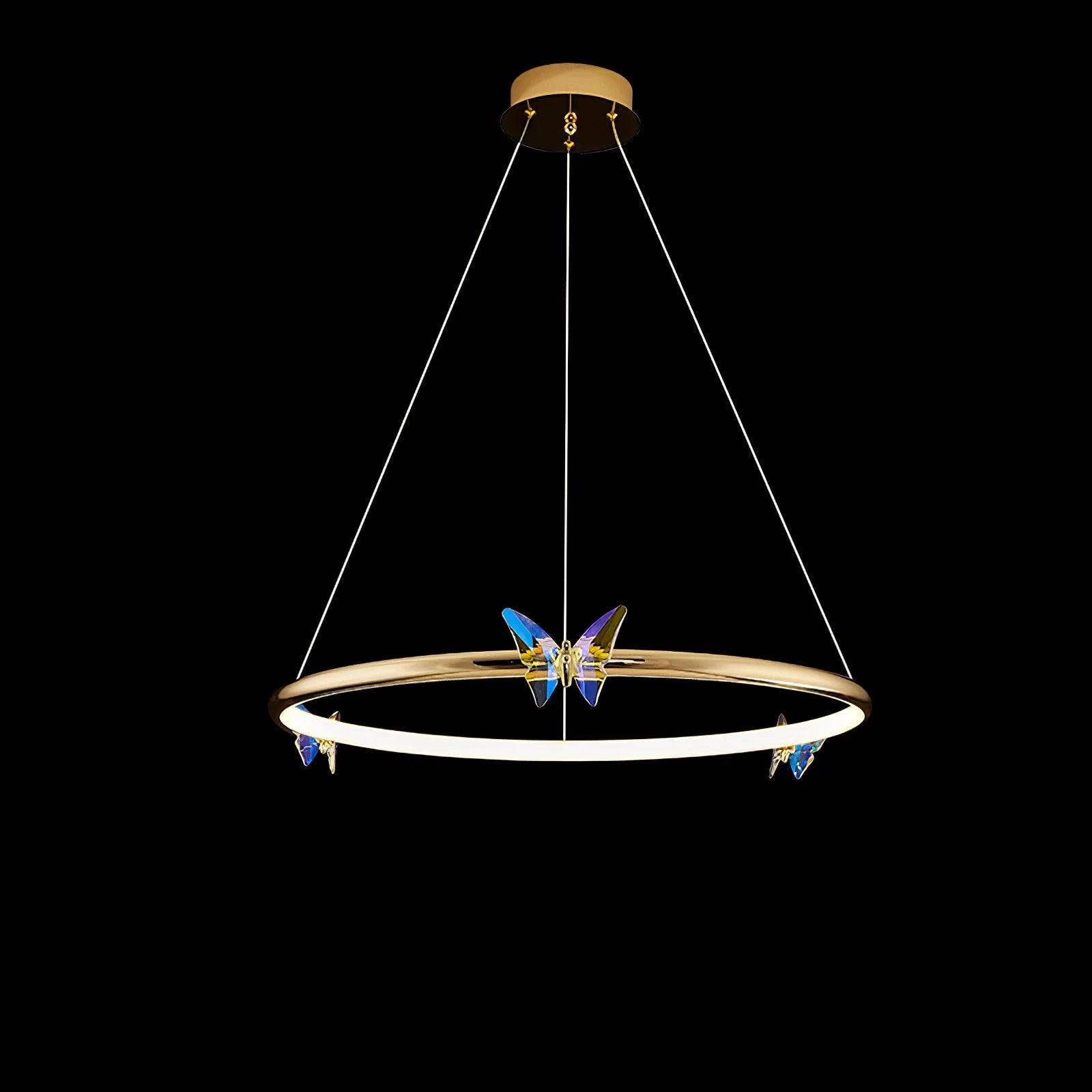  Butterfly Elliptic ring Chandelier 20