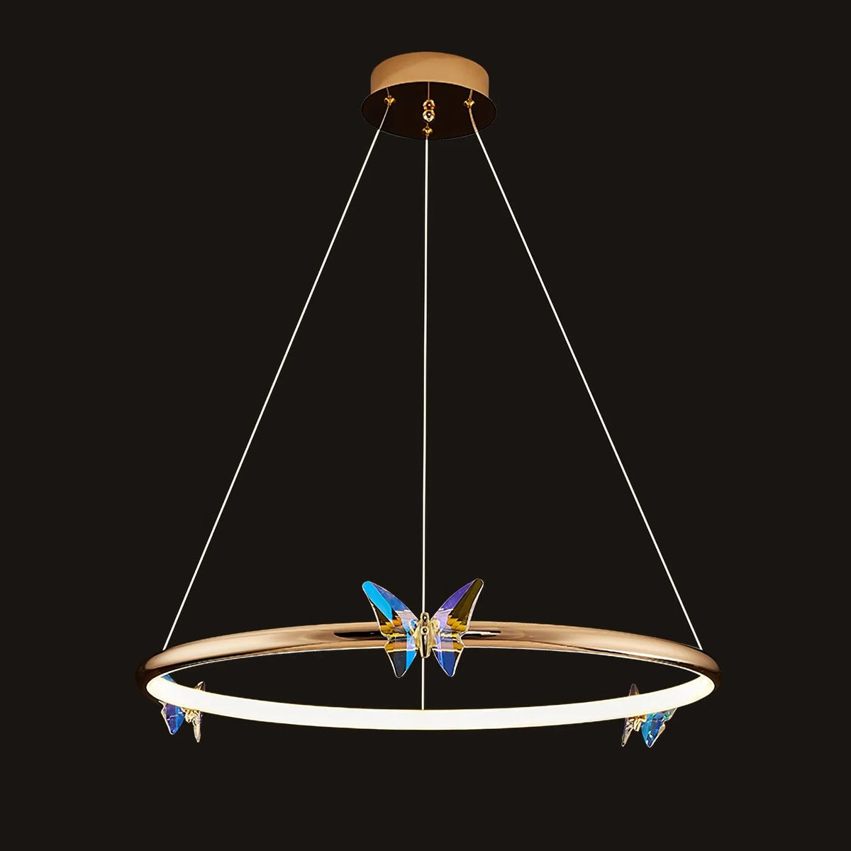  Butterfly Elliptic ring Chandelier 22