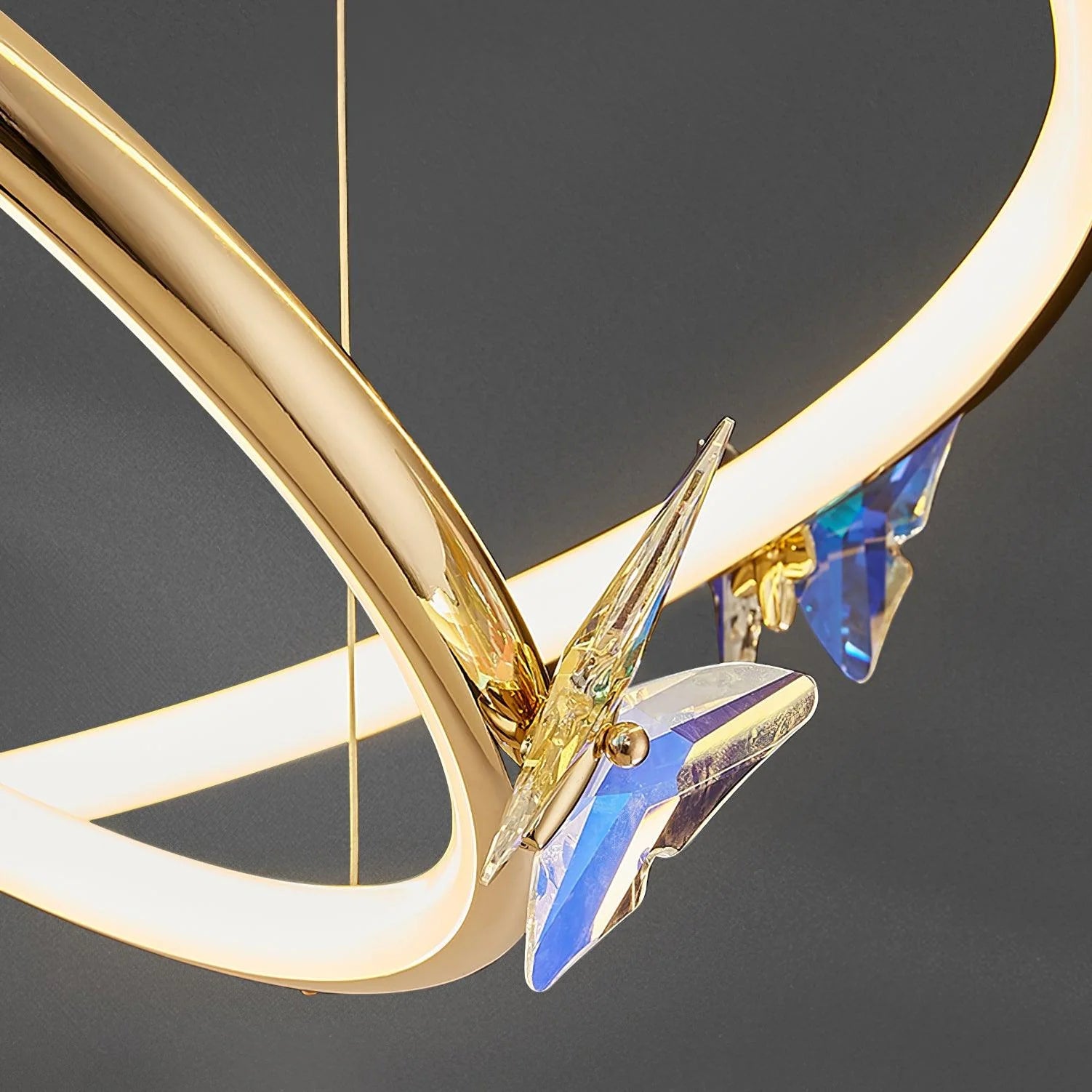  Butterfly Elliptic ring Chandelier 6