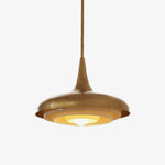 Calyx_Pendant_Light_1