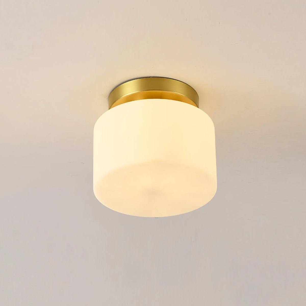 Clinio_Flush_Mount_Ceiling_Light_27