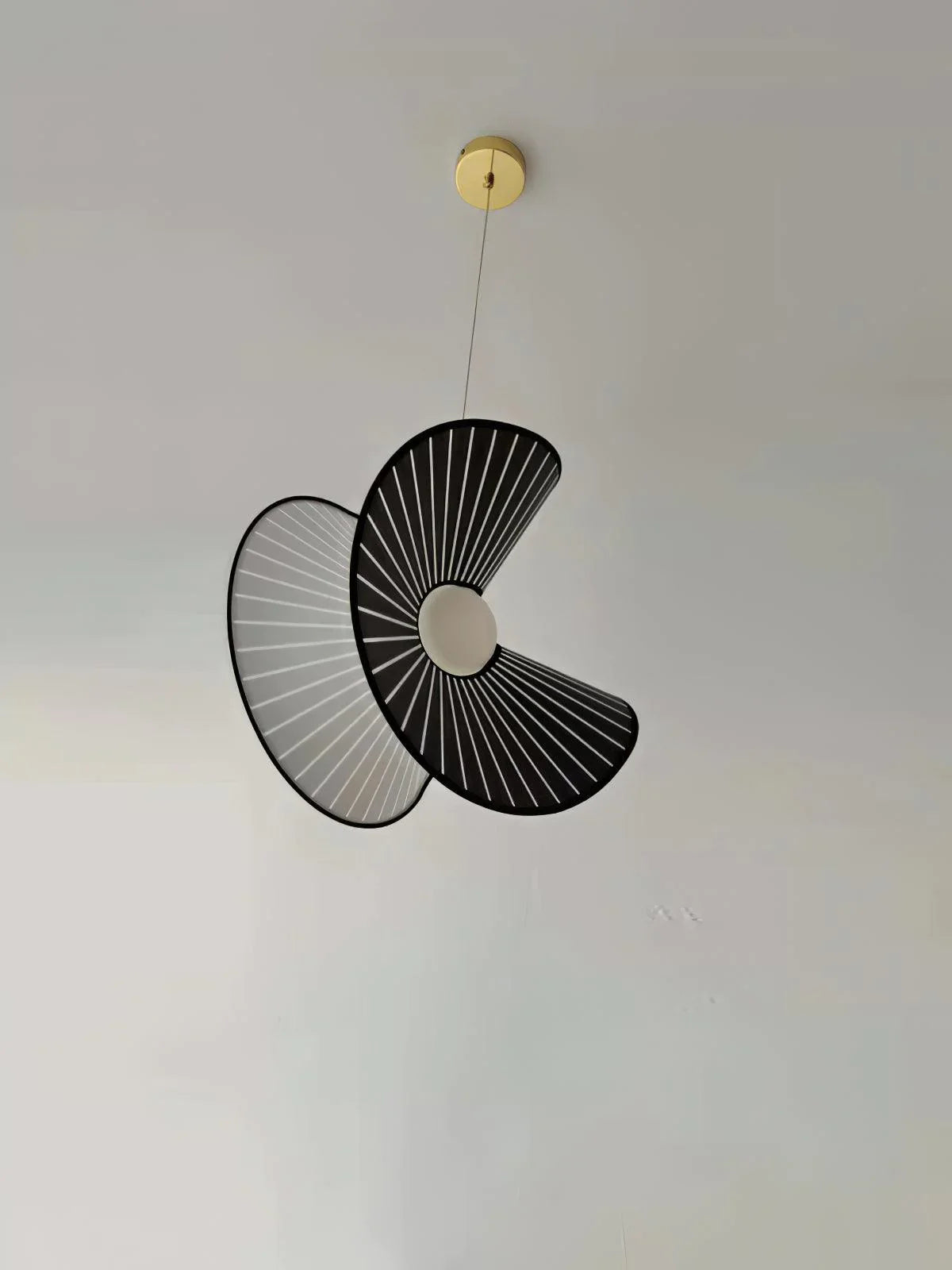 Creative_Black_Shell_Pendant_Light_5