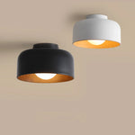 Deku_Ceiling_Light_10