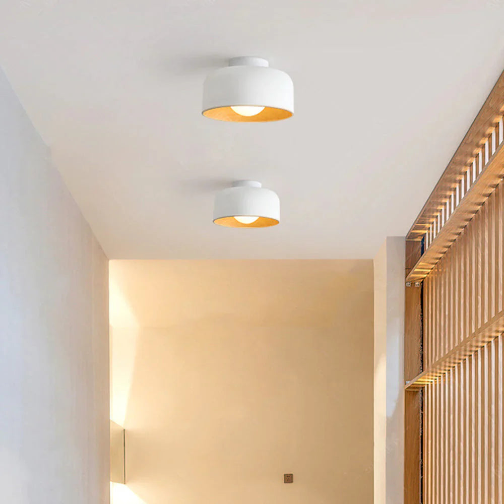 Deku_Ceiling_Light_5