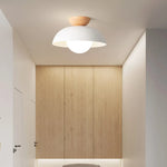 Deku_Moderm_Ceiling_Light_1