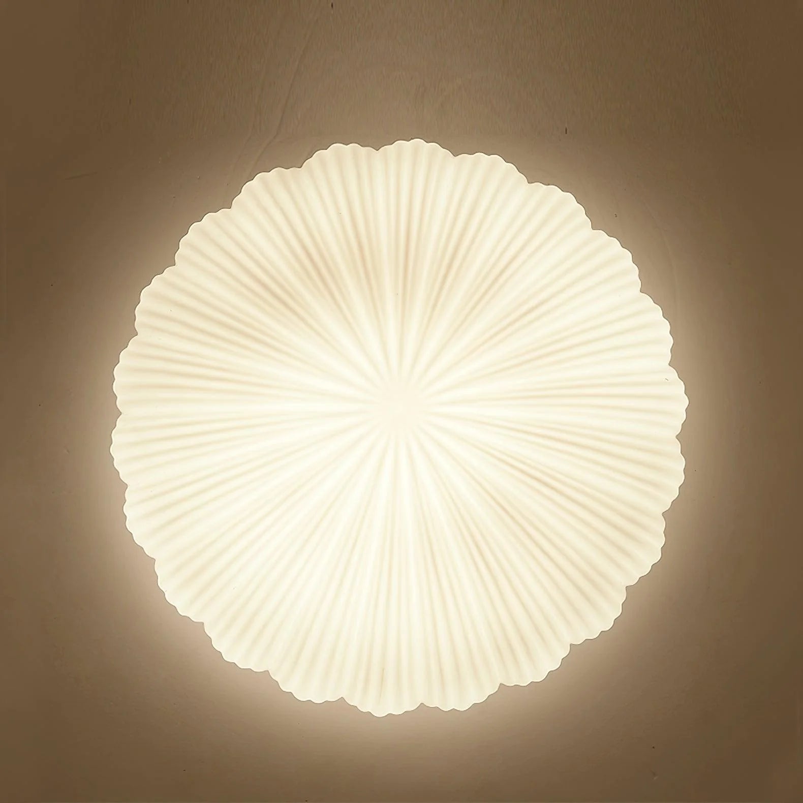 Devan_Seashell_Ceiling_Lamp_10