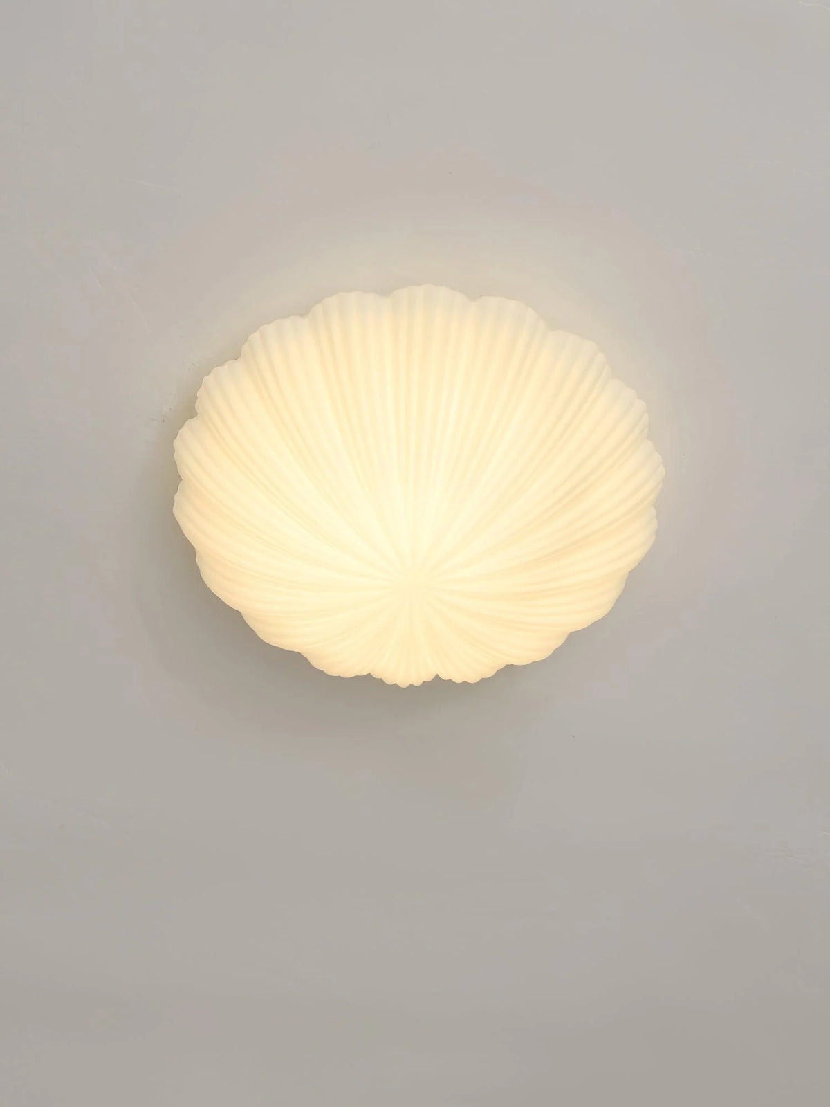 Devan_Seashell_Ceiling_Lamp_16