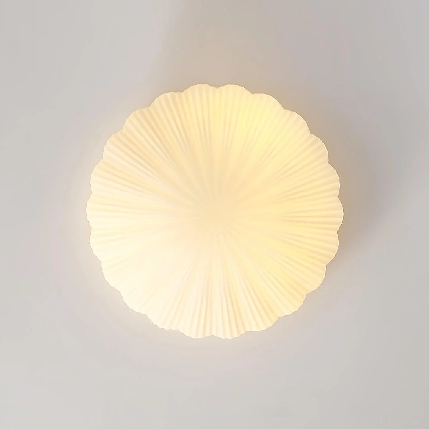 Devan_Seashell_Ceiling_Lamp_19