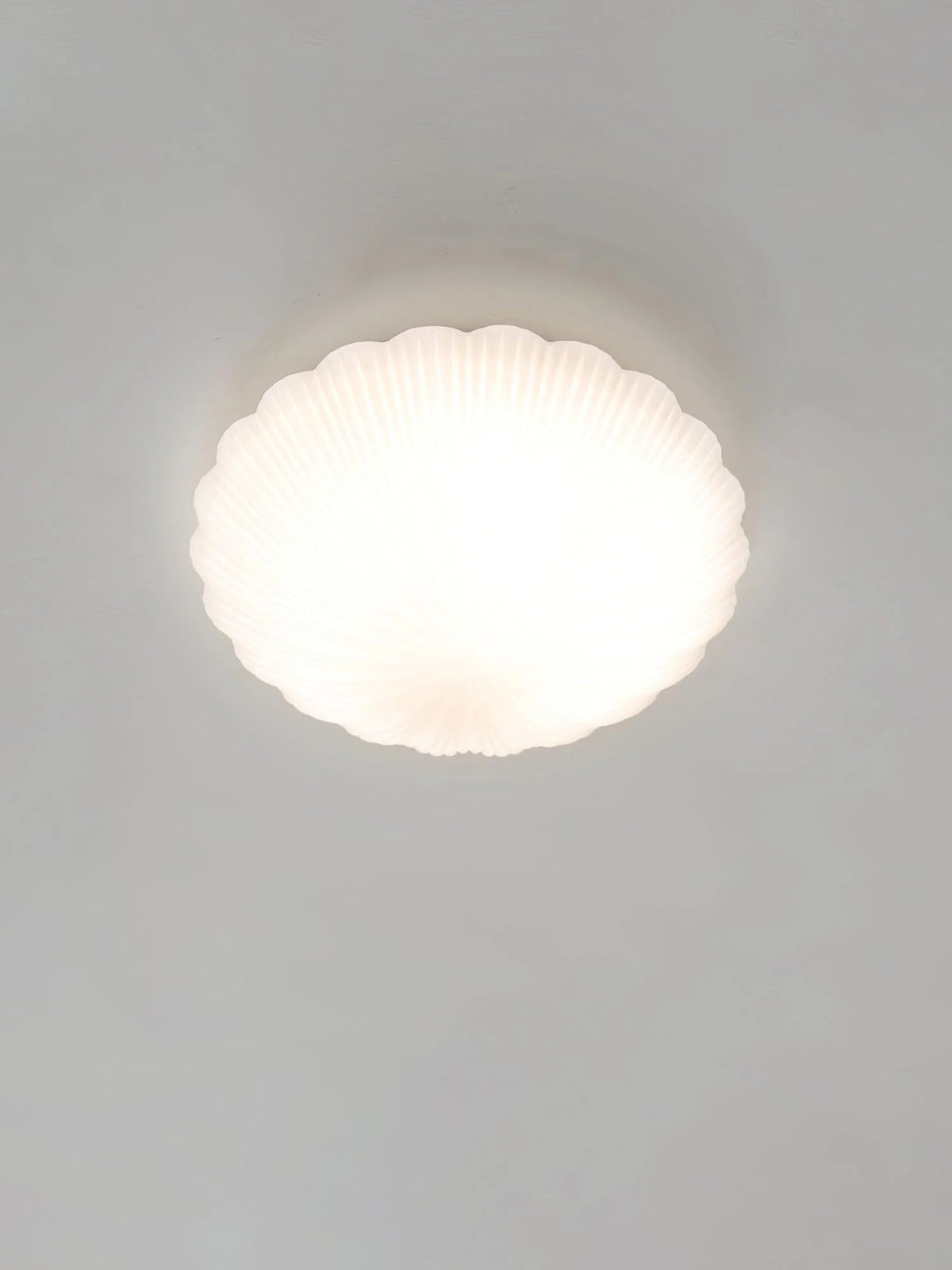 Devan_Seashell_Ceiling_Lamp_20